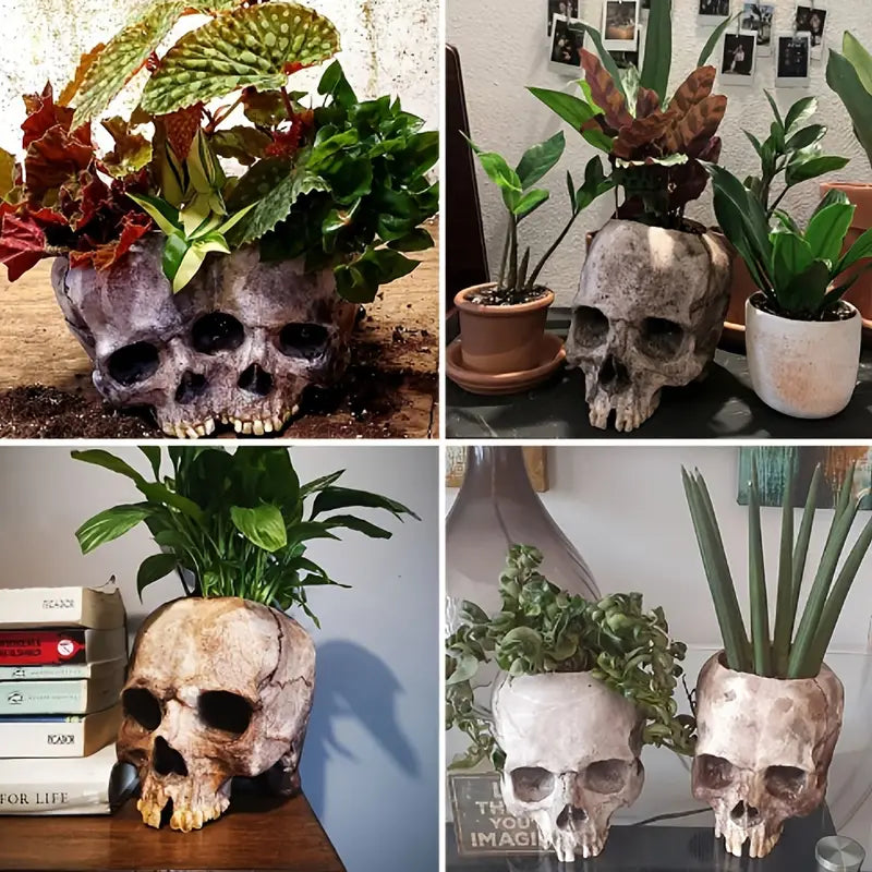 Skull Pots