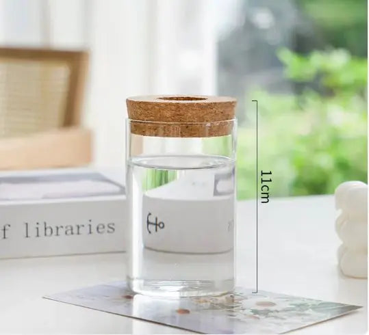 Hydroponic Glass Vase