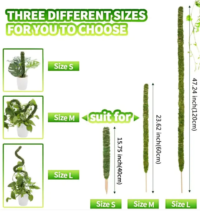 Climbing Vine Pole