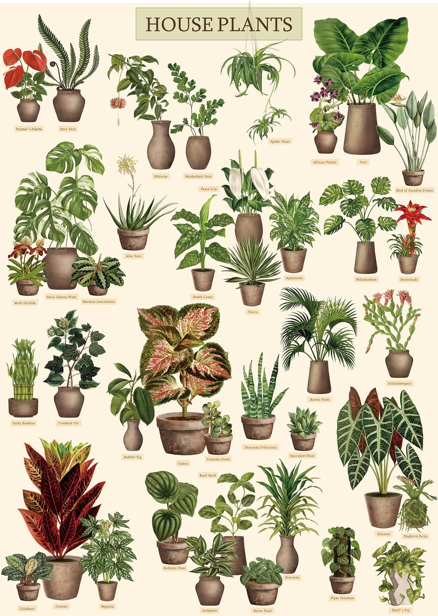Vintage Houseplant Puzzle 1000 Pieces