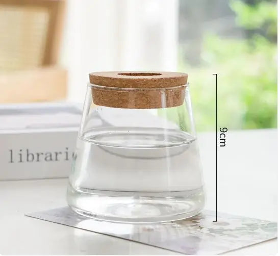 Hydroponic Glass Vase