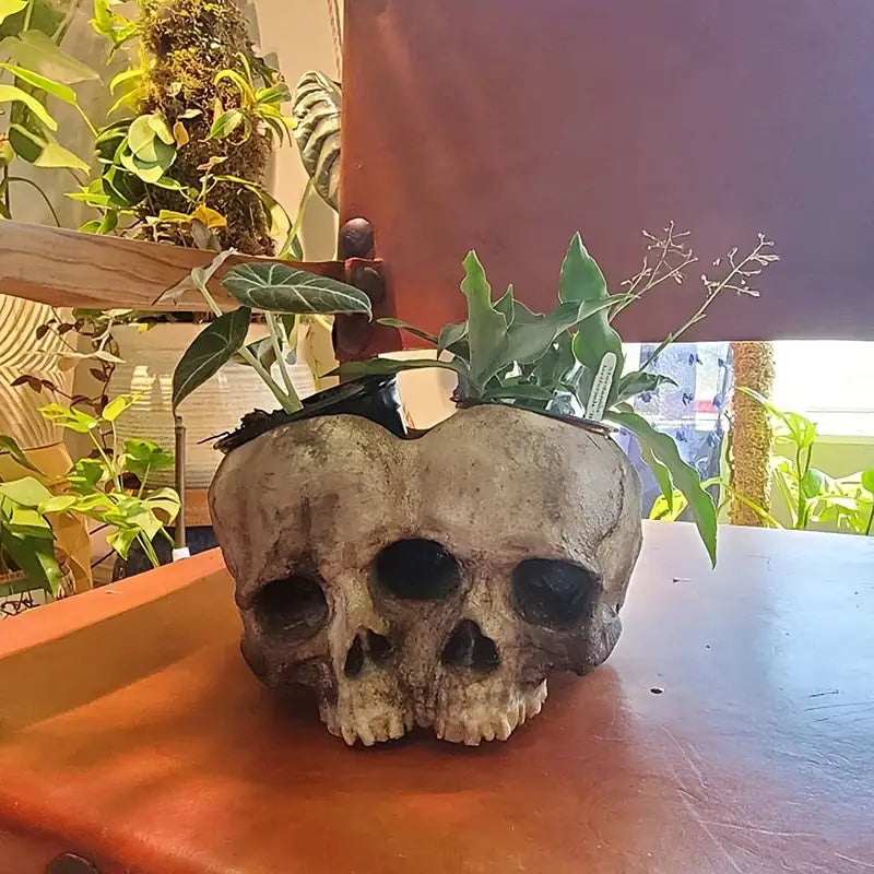 Skull Pots