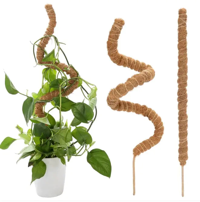 Climbing Vine Pole
