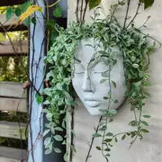 Wall Face Planter