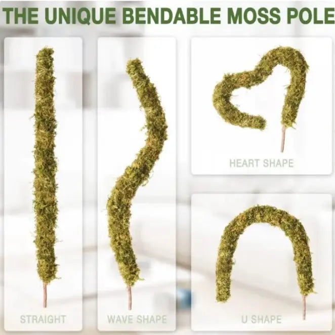 Climbing Vine Pole