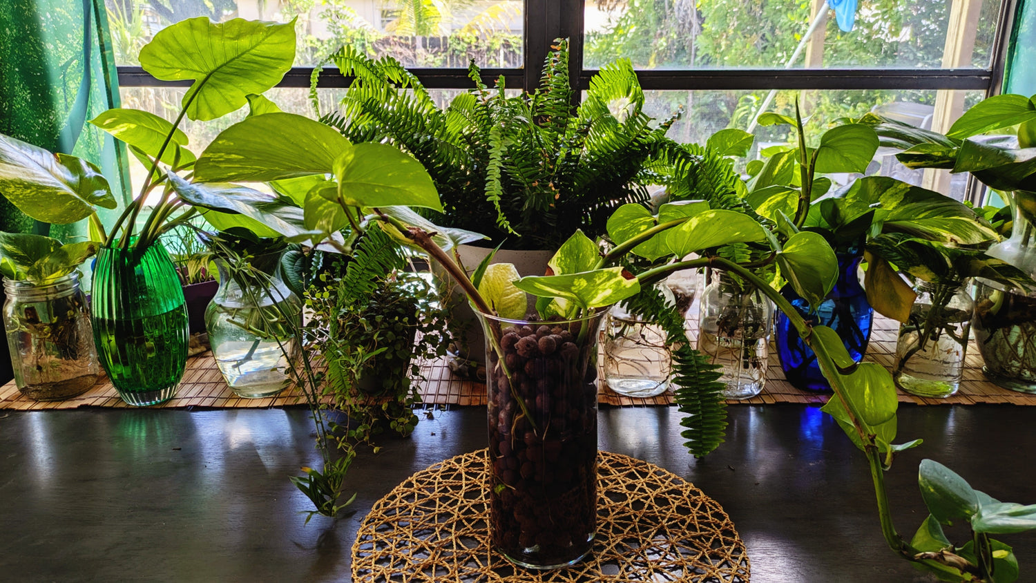 Soil and soilless mediums