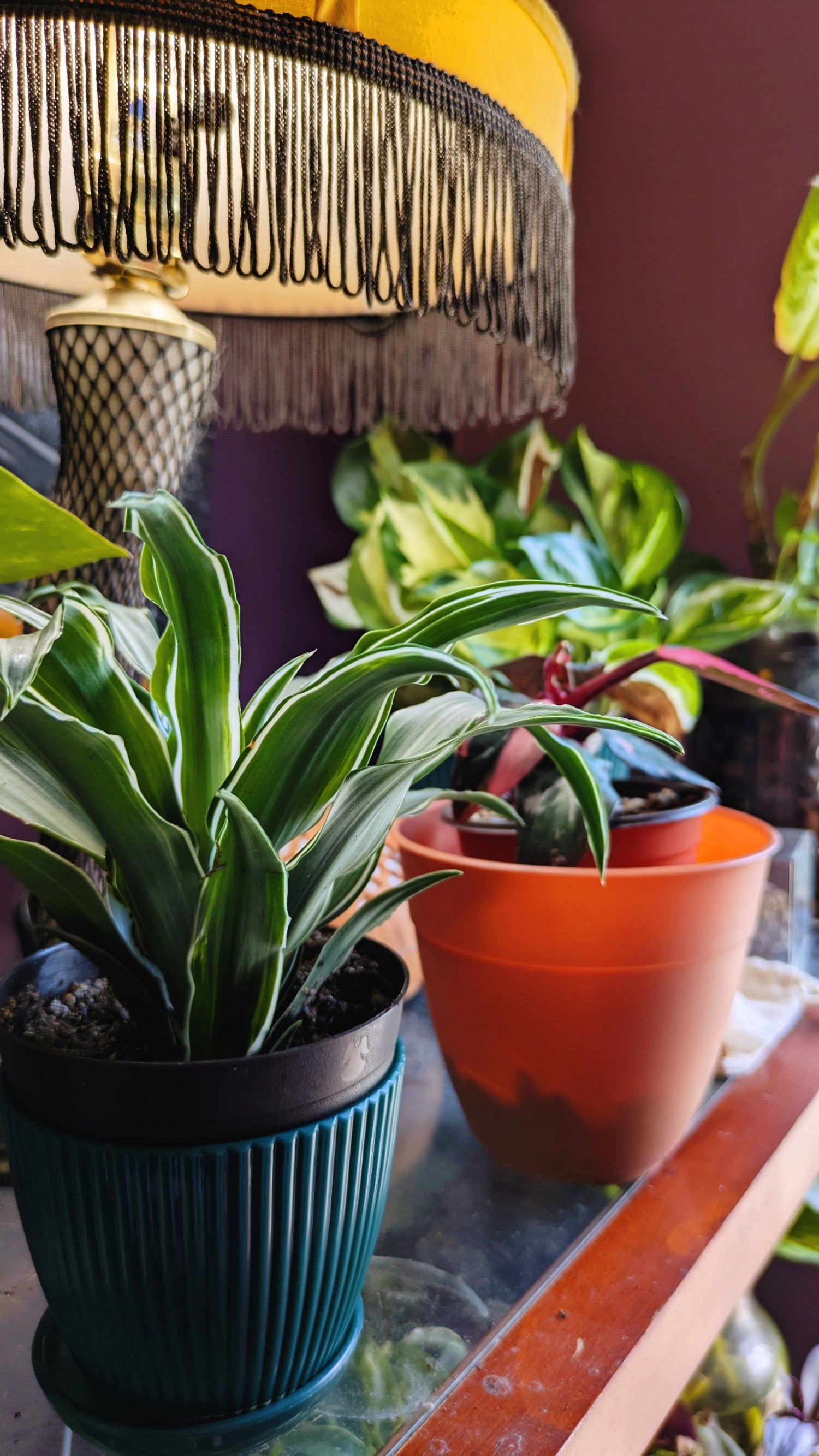 Plant Health