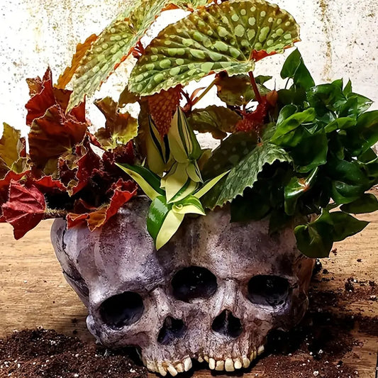 Skull Pots