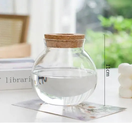 Hydroponic Glass Vase