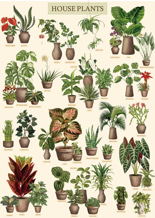 Vintage Houseplant Puzzle 1000 Pieces