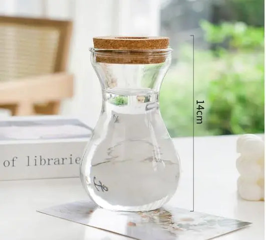 Hydroponic Glass Vase