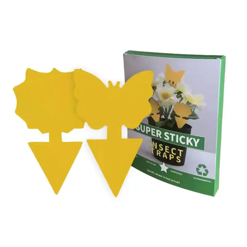 Designer Death Traps for Fungus Gnats