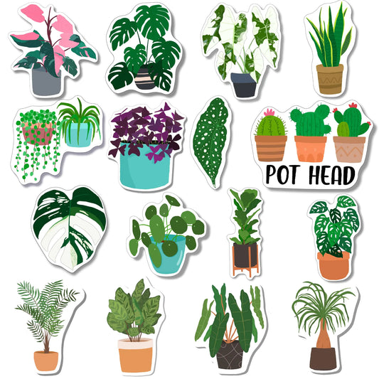 Plant Fridge Magnet Set